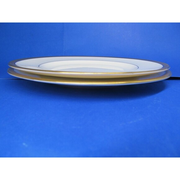 Royal Worcester Coventry 8" Salad Plates Very Good Condition Set Of 2 - Picture 5 of 13